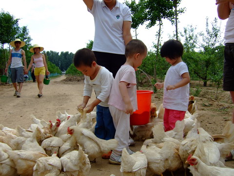 博扬有机食品基地杏成熟了,约上亲朋好友带上孩儿