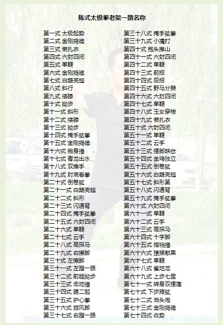 陈氏太极拳老架一路名称