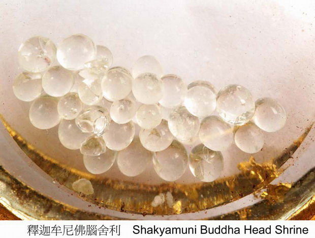 传说中的你没见过的佛舍利图
