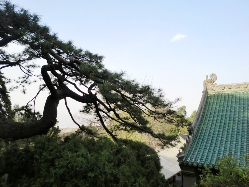 上周六潭柘寺-戒台寺一日游杂记